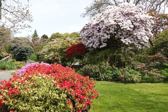Abkhazi Garden, Canada